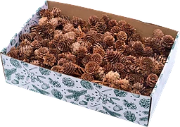 Kottar i knippe 3cm Festive