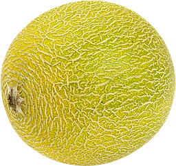 Melon