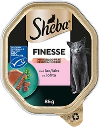 Kattmat Lax mousse