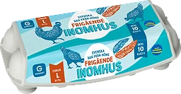 Ägg 10p Frigående Inomhus Large