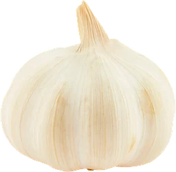 Vitlök Klass 1