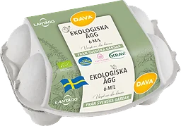 Ägg 6p Eko Frigående Utomhus Medium/large