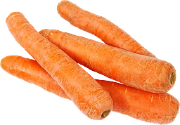Morötter 
