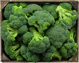 Broccoli
