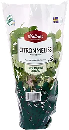Citronmeliss Kruka KRAV Hällnäs Handelsträdgård