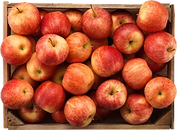 Äpple