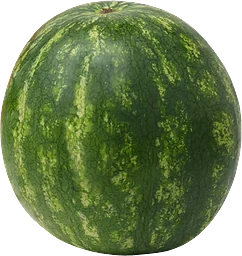 Vattenmelon Mini ca 1,95kg Klass 1 ICA
