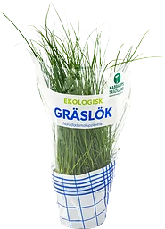 Gräslök Ekologisk 1-p Kabbarps Trädgård