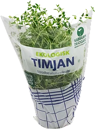 Timjan Klass 1