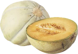Honungsmelon