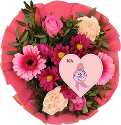 Bukett Kompakt  30cm Rosa Bandet ICA