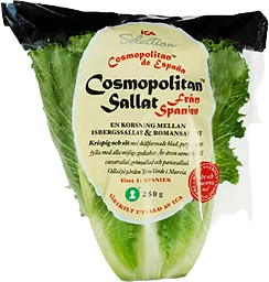 Cosmopolitansallat 250g Klass 1 ICA Selection