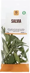 Salvia ,