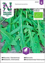 Ruccola Sandsenap Organic 1-p Nelson Garden