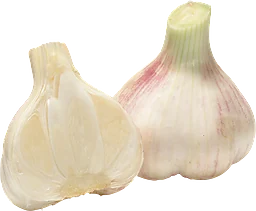 Vitlök Färsk