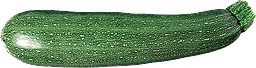 Zucchini