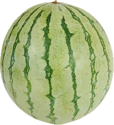 Vattenmelon Eko