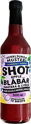 Shot Blåbär & Ingefära 500ml Herrljunga Musteri