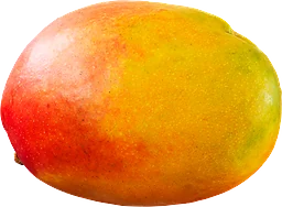 Mango Mogen