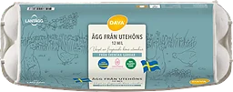 Ägg 12p Frigående Utomhus Medium/large