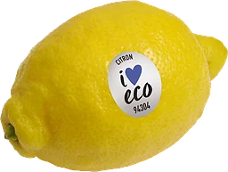 Citron eko ca 100g Klass 1 ICA