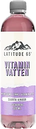 Vitamindryck Svarta vinbär 50cl Latitude 65
