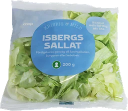 Isbergssallat 