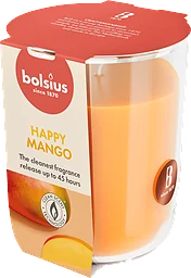 Doftljus Mango 80/73 True Scents