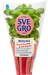 Basilika i kruka Ekologisk 1-p KRAV Svegro