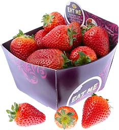 Jordgubbar 500g Hebe Frukt & Grönt