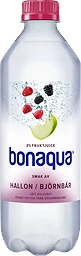 Vatten Kolsyrad Hallon & björnbär 50cl Bonaqua silver