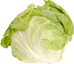 Isbergsallat