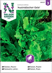 Sallat Plock Australischer Gele 1-p Nelson Garden