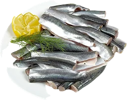 Färsk strömming/sill