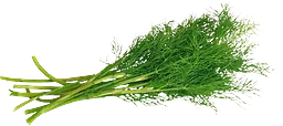Dill i knippe ca 40g Klass 1 ICA