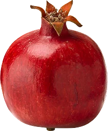 Granatäpple 1-pack Klass 1