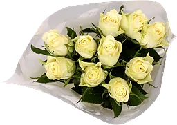 Rosor 10-p 40cm Fairtrade vita ICA