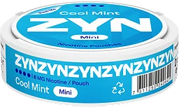 Zyn Cool Mint Mini