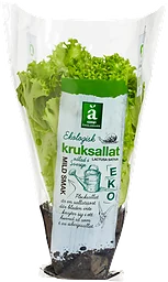 Kruksallat Eko