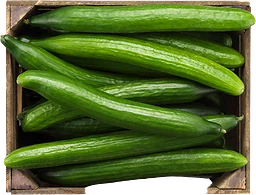 Gurka