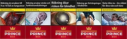 Prince Rich