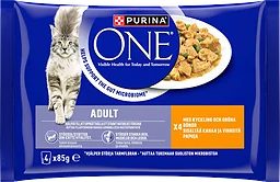 Kattmat Adult 4-pack