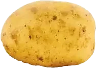 Färskpotatis Tvättad