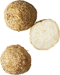 Rotselleri Delad