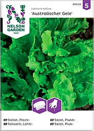 Sallat Plock Australischer 1-p Nelson Garden