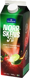 Winter Strawbe Norrskensfil