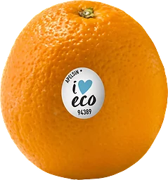 Apelsin Valencia Late Ekologisk ca 200g Klass 1 ICA I love eco