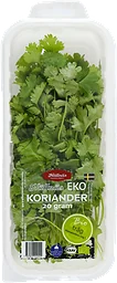 Koriander EKO 20g Hällnäs Handelsträdgård
