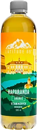 Vitamindryck Haparanda Ananas 50cl Latitude 65