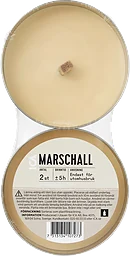 Marschall silver 2p ICA